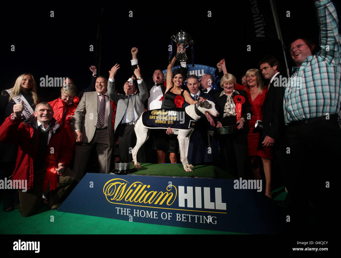 Windhunde - Williamhill.com Greyhound Derby Finale - Wimbledon Greyhound Stadium Stockfoto