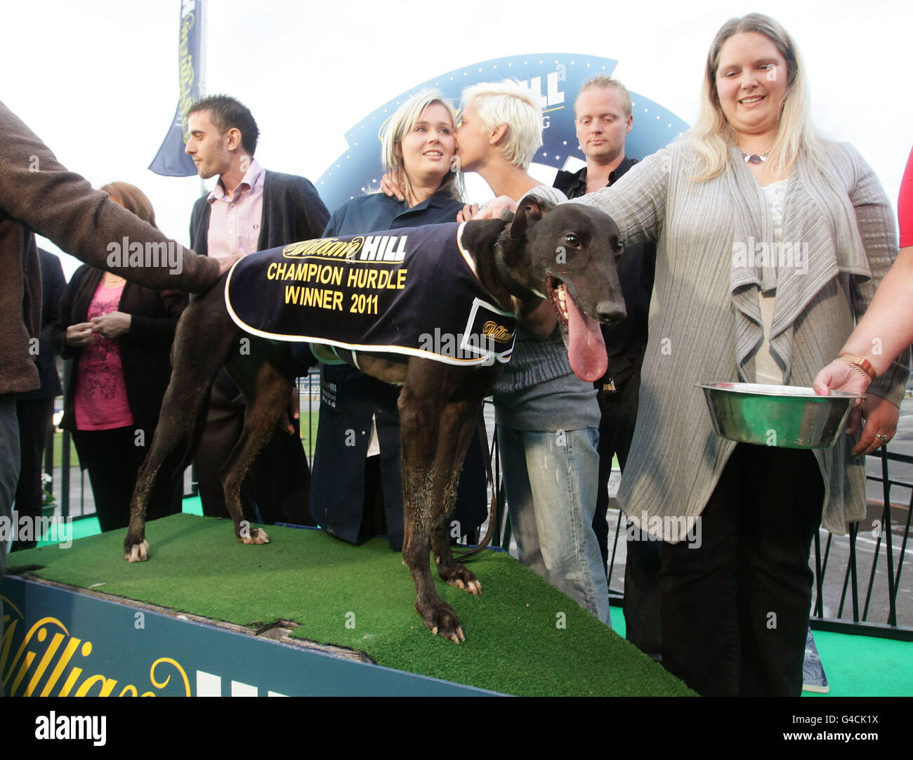 Plane Dordo, der Gewinner des Champion Hurdle Finals Williamhill.com, im Wimbledon Stadium im Süden Londons. Stockfoto