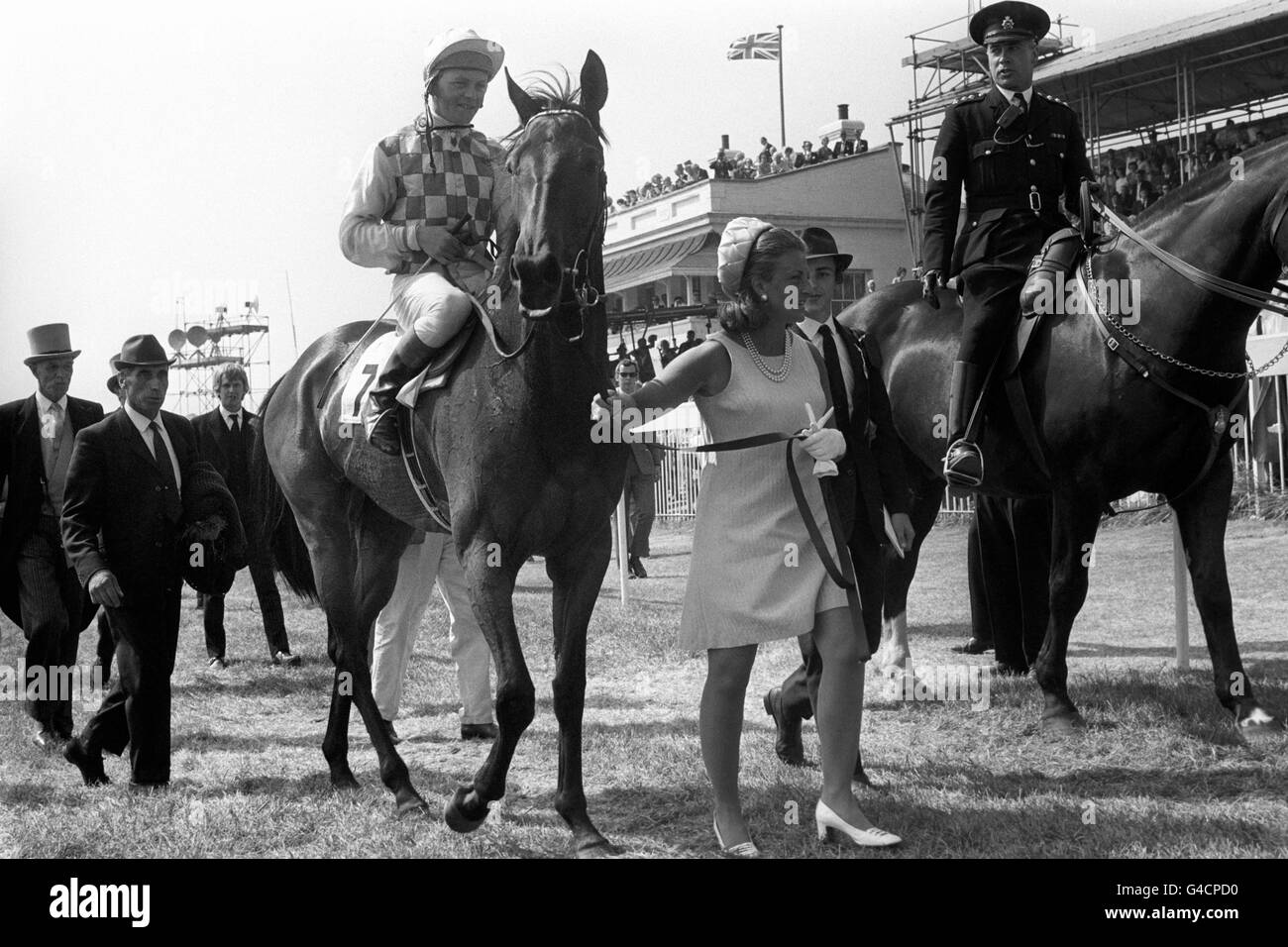 Horse Racing - Pfahles Eichen - Epsom Stockfoto