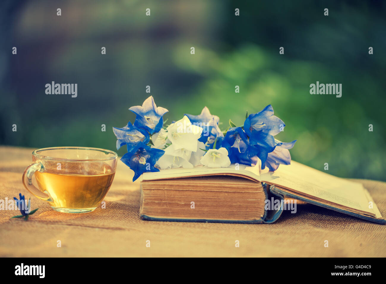 Zusammensetzung aus alten schäbigen Buch, Blumen und eine Tasse Kräutertee im Garten Stockfoto