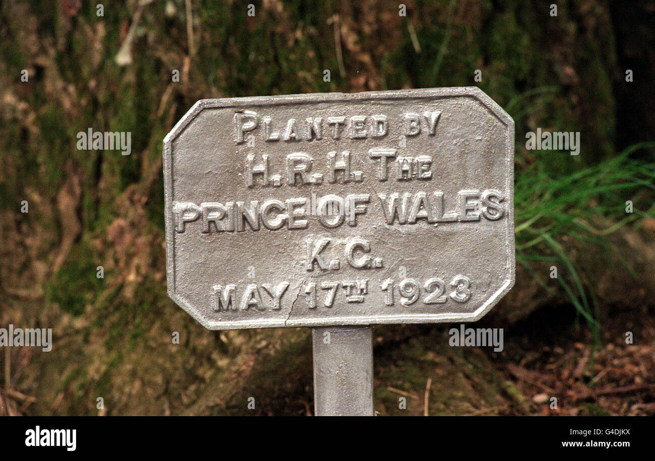 PA NEWS PHOTO 26/7/98 EINE GEDENKTAFEL ERINNERT AN DIE PFLANZUNG EINES BAUMES IM SCHLOSS PENRICE AUF GOWER IN SÜDWEST-WALES DURCH DEN DAMALIGEN PRINZ VON WALES IM MAI 1923. DAS BILD WURDE AN DEM TAG AUFGENOMMEN, AN DEM PRINZ CHARLES EINE VIELZAHL VON EICHEN AUF DEM SCHLOSS PFLANZTE. Stockfoto