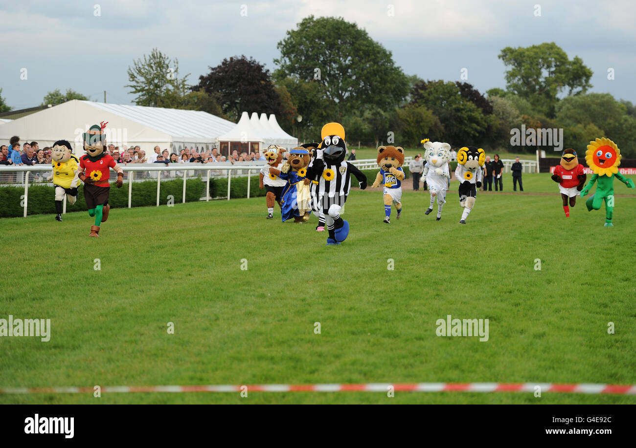 Racing - Uttoxeter Nächte - Uttoxeter Rennbahn Stockfoto