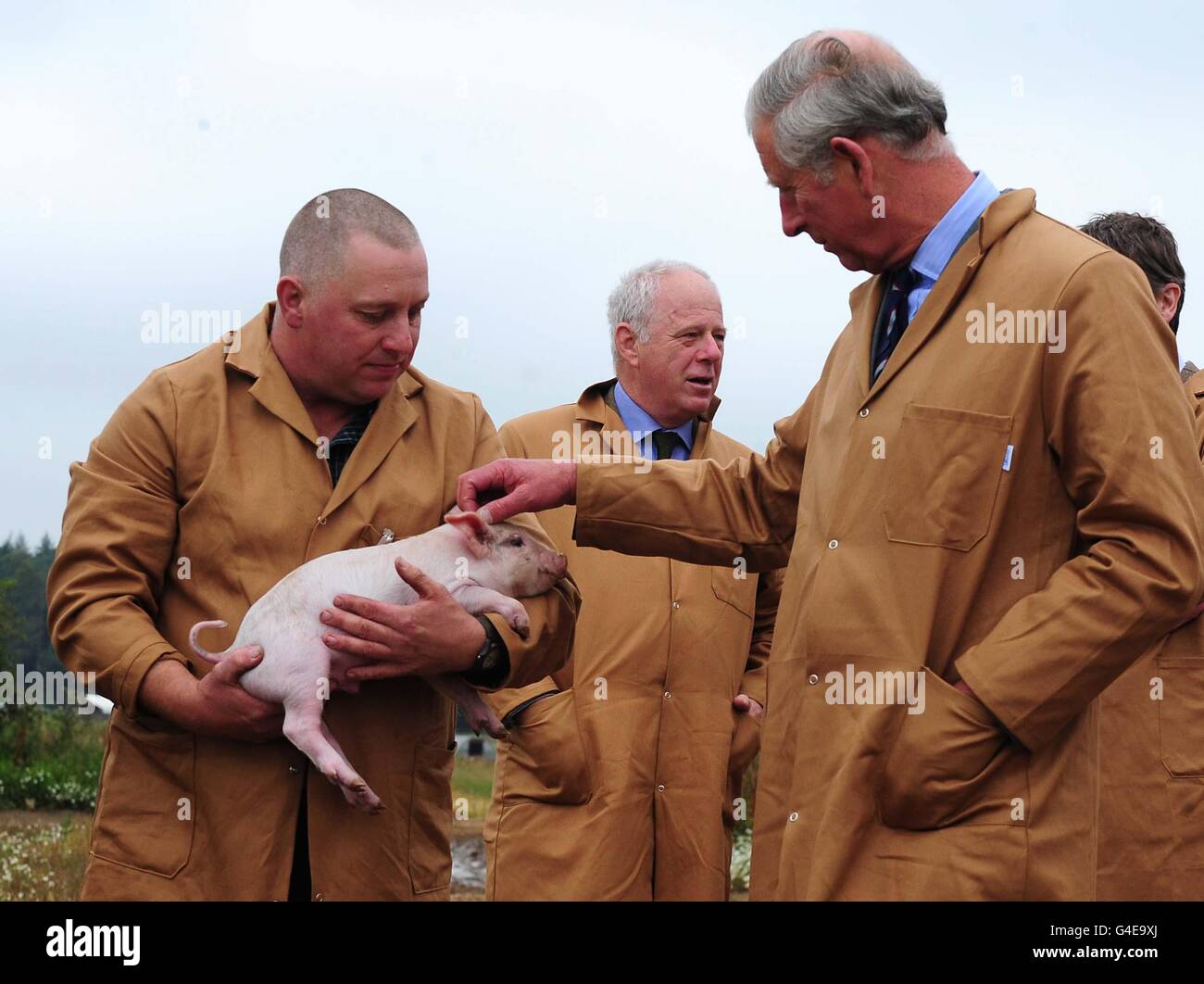 Sean Bailey, stellvertretender Betriebsleiter (links), zeigt Prinz Charles ein Ferkel, während Matthew Fort (Mitte) bei einem Besuch der Bio-Schweinehaltung Bunkers Hill, King's Lynn, Norfolk, auf sie schaut. Stockfoto