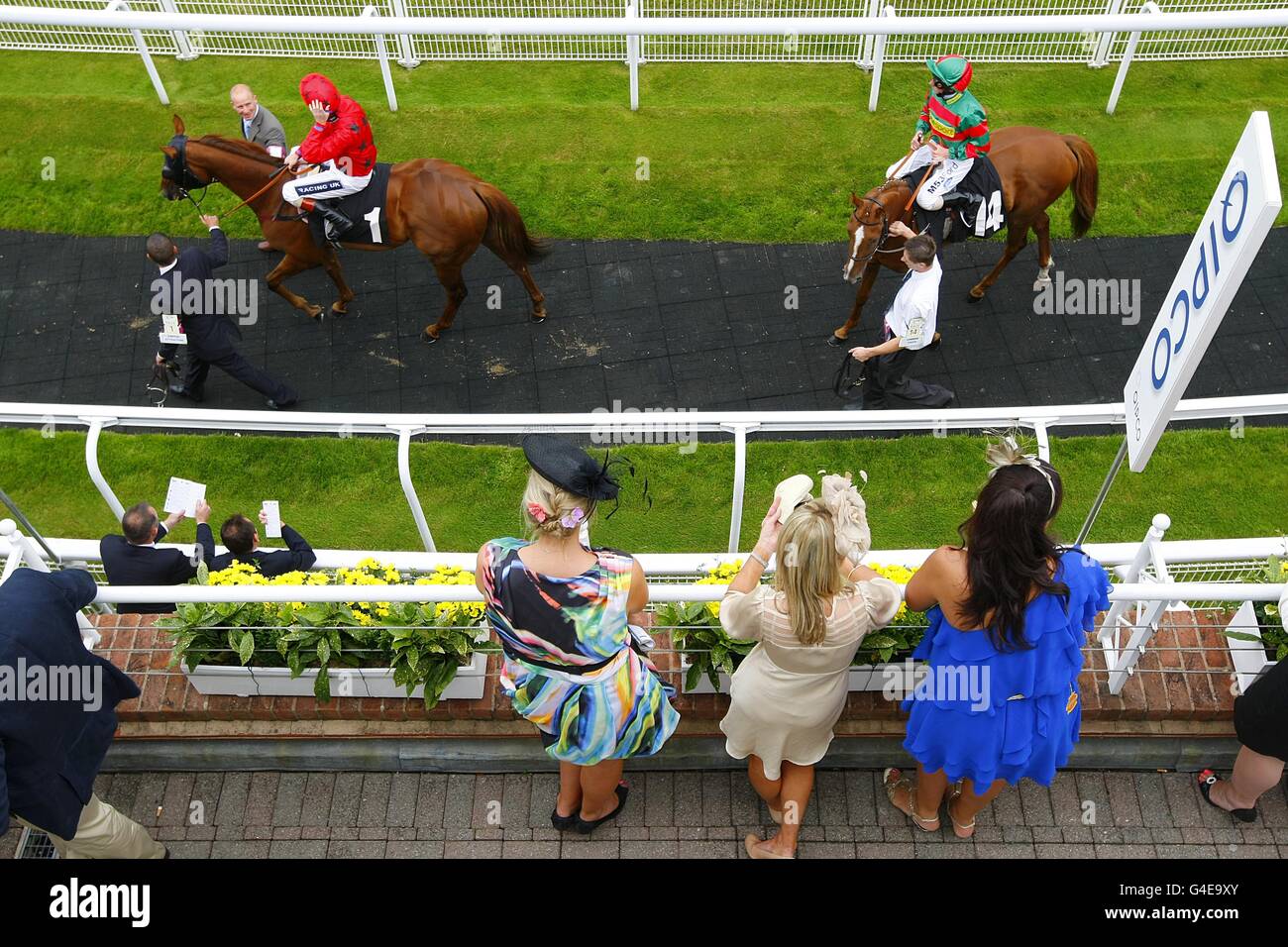 Horse Racing - Glorious Goodwood Festival 2011 - herrliche Sussex Stakes Tag - Goodwood Rennbahn Stockfoto