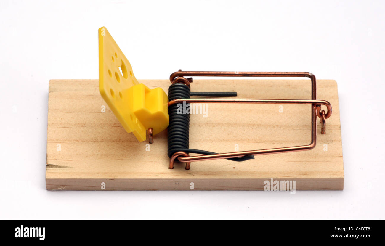 Mausefalle. Eine Mausefalle. Stockfoto