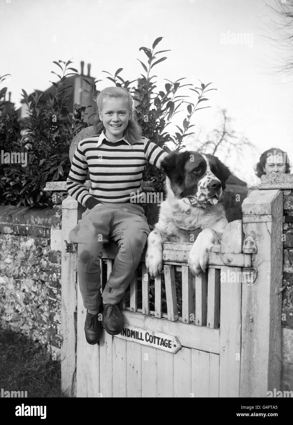 Elizabeth Cruft, mit Nana, Haustier der Familie St. Bernard, auf der Windmill Farm, Coulsdon, Surrey. Ihr Urgroßvater war Charles Cruft, Gründer der berühmtesten Hundeausstellung der Welt. Elizabeth, erst 12 Jahre alt, ist für eine Fernsehsendung namens 'Your Puppy' geplant, in der sie eine beliebte Hunderasse nehmen und erklären wird, wie sie sich um sie kümmern soll. Stockfoto