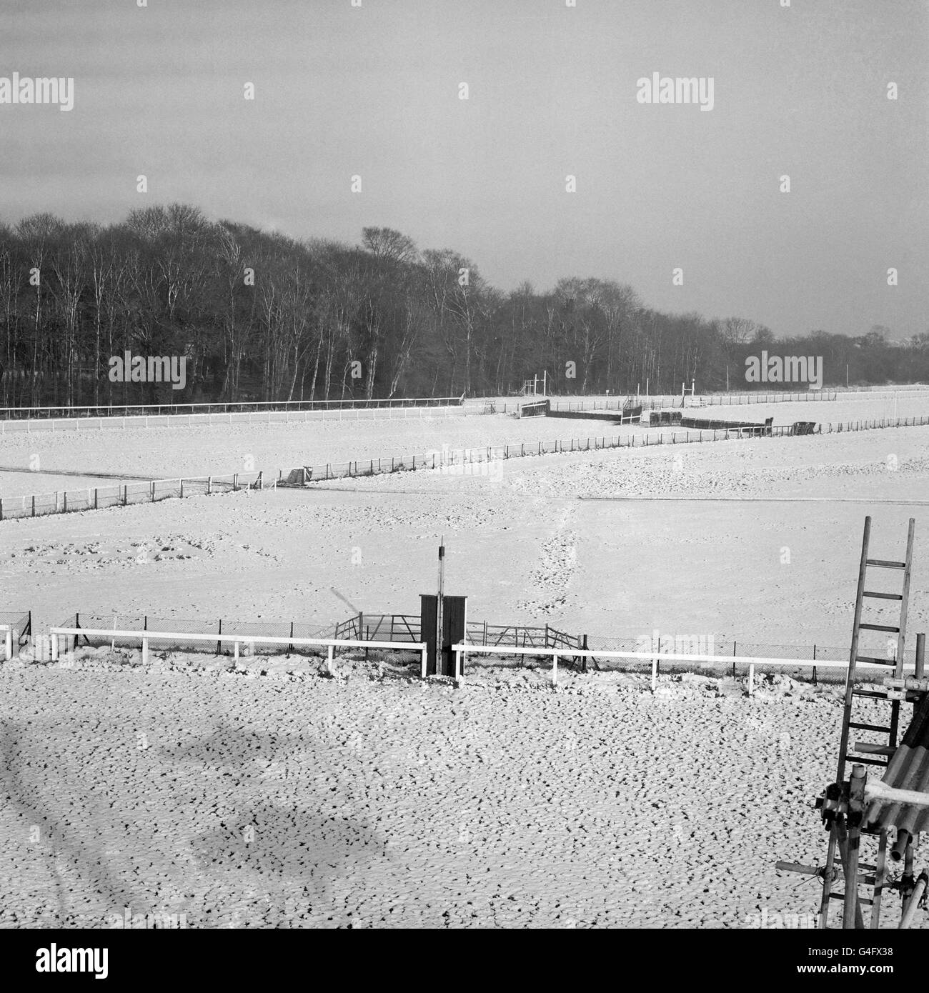 Pferderennen Sie - stornierten Januar-Sitzung - Kempton Park Rennbahn Stockfoto