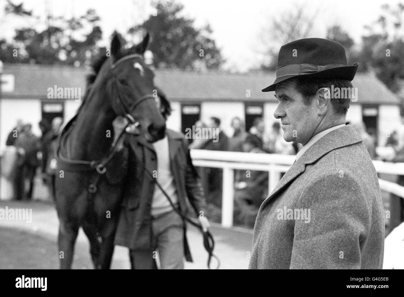 Pferderennen - Treffen Im Januar - Kempton Park Racecourse. Ein Tierarzt im Paradering beobachtet die Pferde Stockfoto