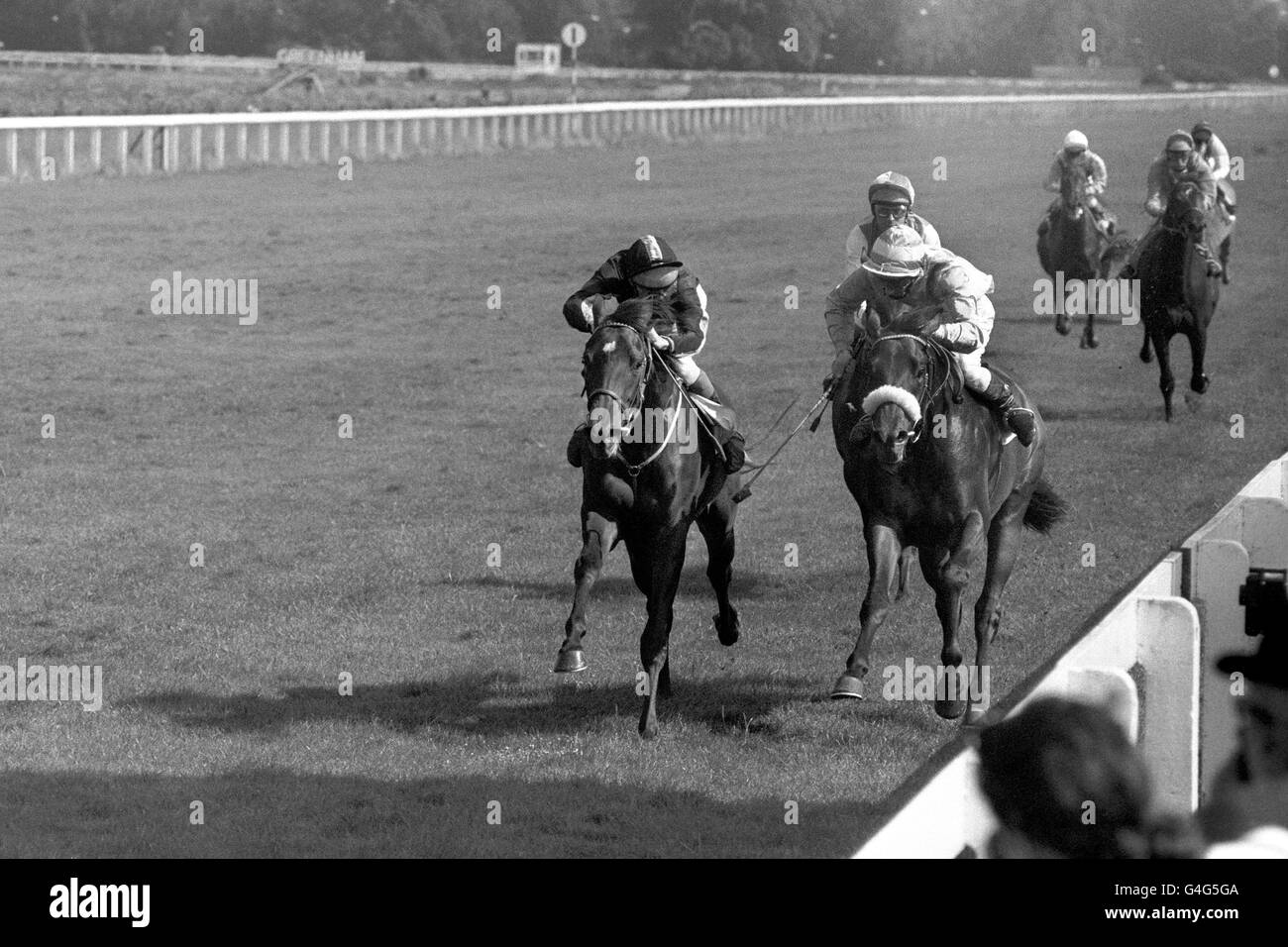 Kiyofuji, geritten von Pat Eddery (links), gewinnt den zweiten Platz von Cargen Prince, geritten von P Madden (rechts). Dritter war Beer Money, geritten von Einem Murray, hinter dem führenden Paar Stockfoto