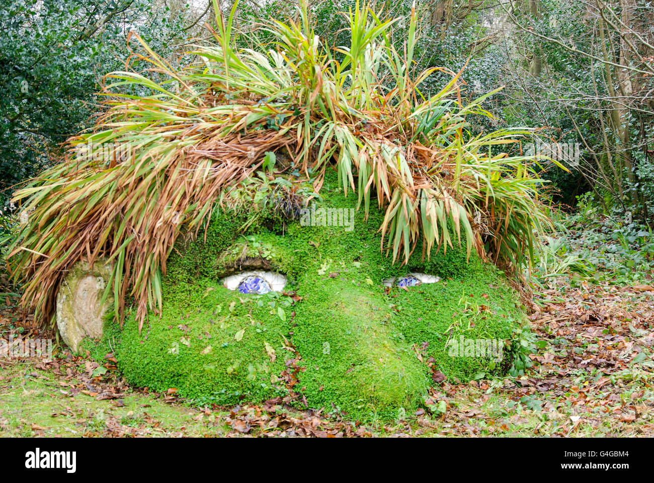 Giant head lost gardens heligan Fotos und Bildmaterial in hoher