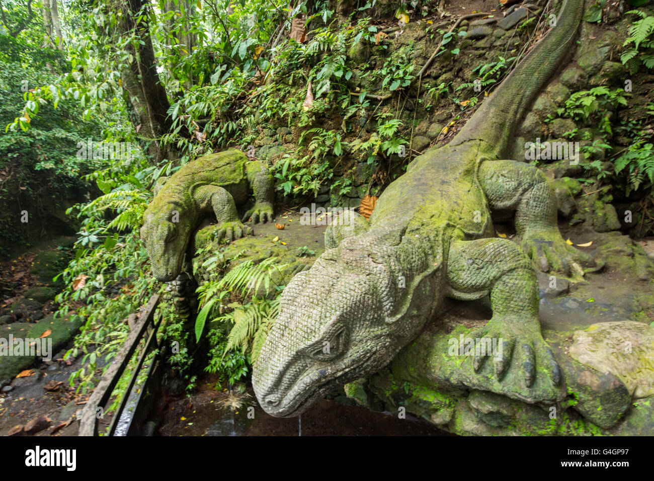 Rieseneidechse in heiliger Affenwald Heiligtum, Ubud, Bali, Indonesien Stockfoto
