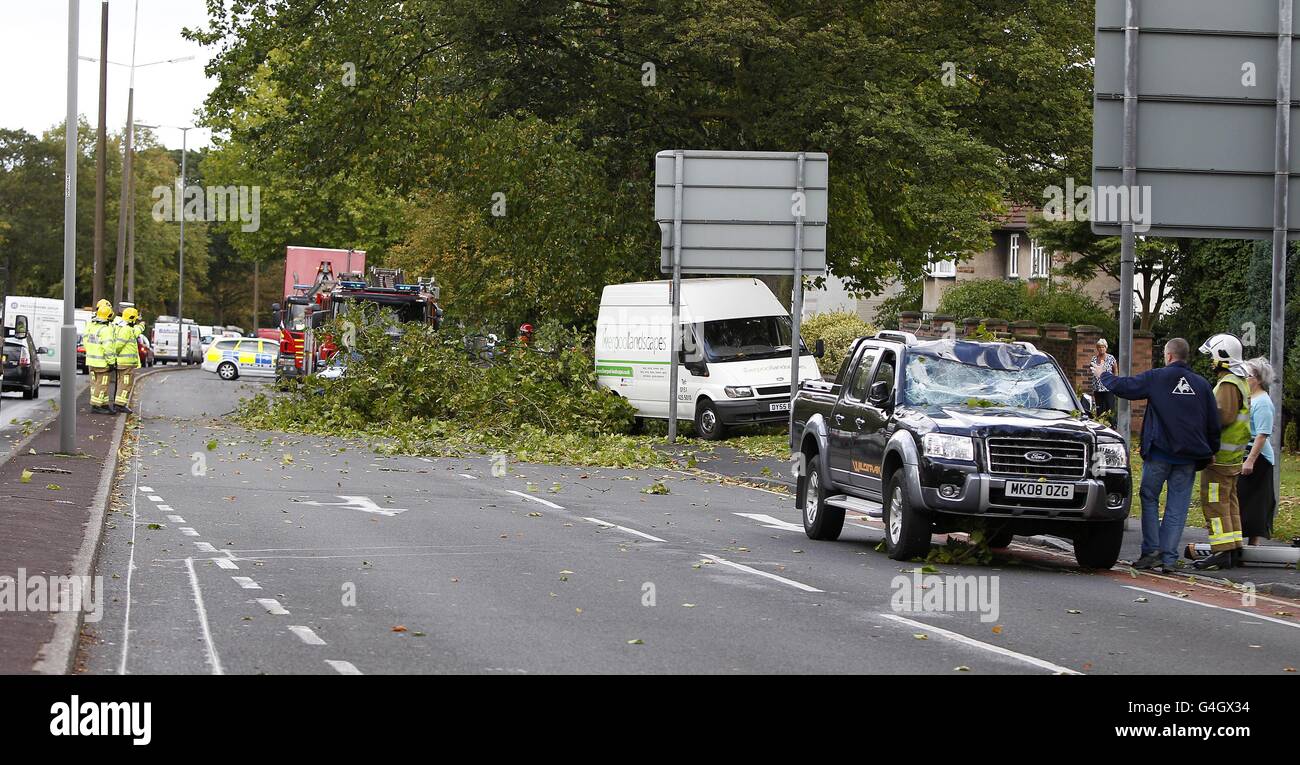 Starke Winde führen zu einem Überschlag von Bäumen und beschädigen dabei ein Auto auf dem Queens Drive, Allerton, Liverpool. Stockfoto