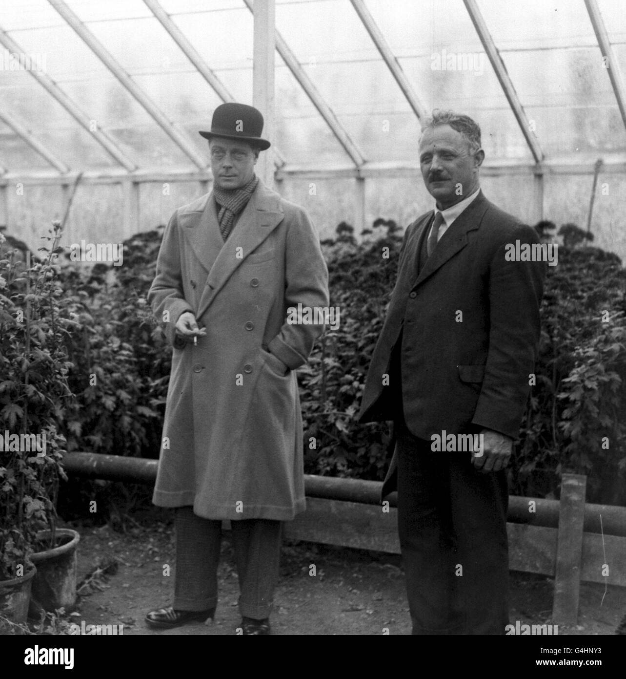 Der Prinz von Wales (später Edward VIII und Herzog von Windsor) besucht die Gärtnerei von Herrn Walter Burden, der die Pflanzen usw. dem Prinzen erklärt. Stockfoto