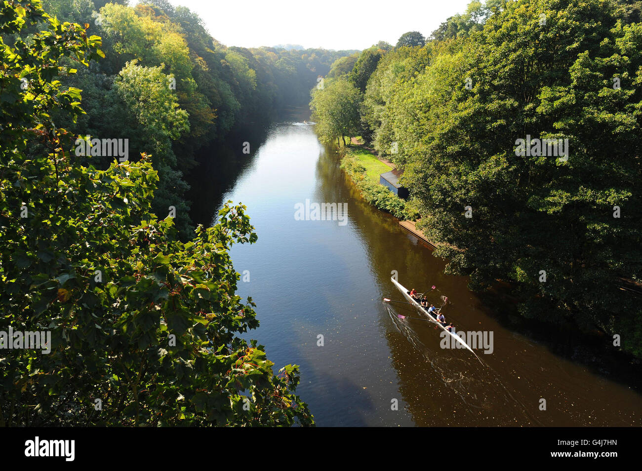 Ruderer genießen das für die Jahreszeit unangenehme warme Wetter auf dem River Wear in Durham. Stockfoto