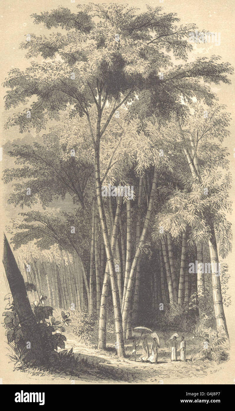 Landschaften: Paysage Hindou, antiken print 1852 Stockfoto