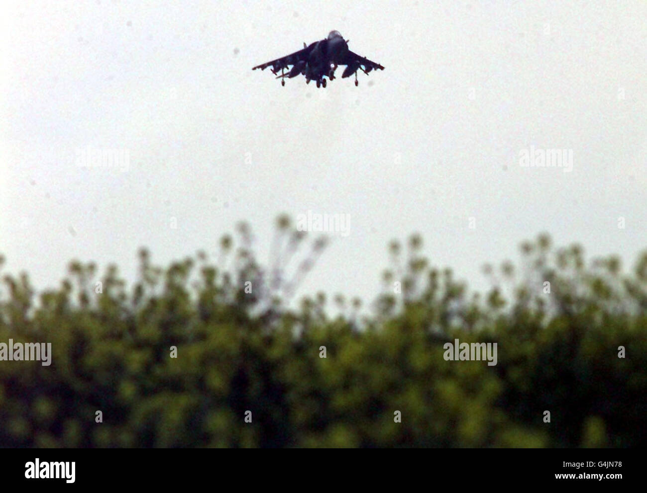 Ein RAF Harrier-Flugzeug hebt vom Militärflugplatz Gioia del Colle in Süditalien ab, um im Rahmen der NATO-Luftangriffe in Jugoslawien und im Kosovo serbische Ziele zu überfliegen. Stockfoto