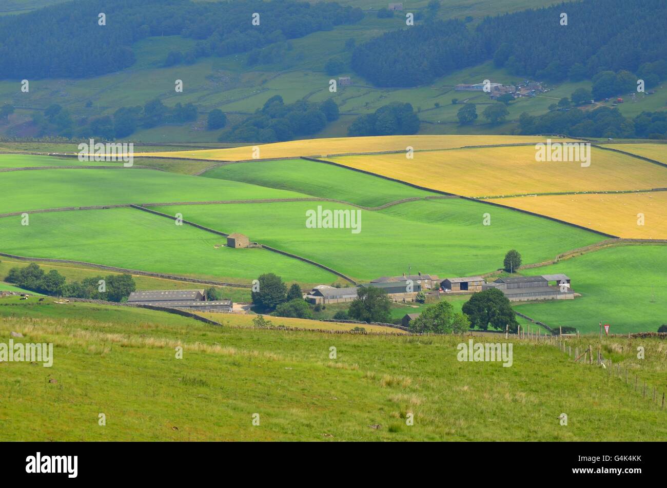 Blick von den Coldstones Schnitt über Nidderdale, einer monumentalen Skulptur aus Kalkstein in der Nähe von Pateley Bridge, North Yorkshire, UK Stockfoto