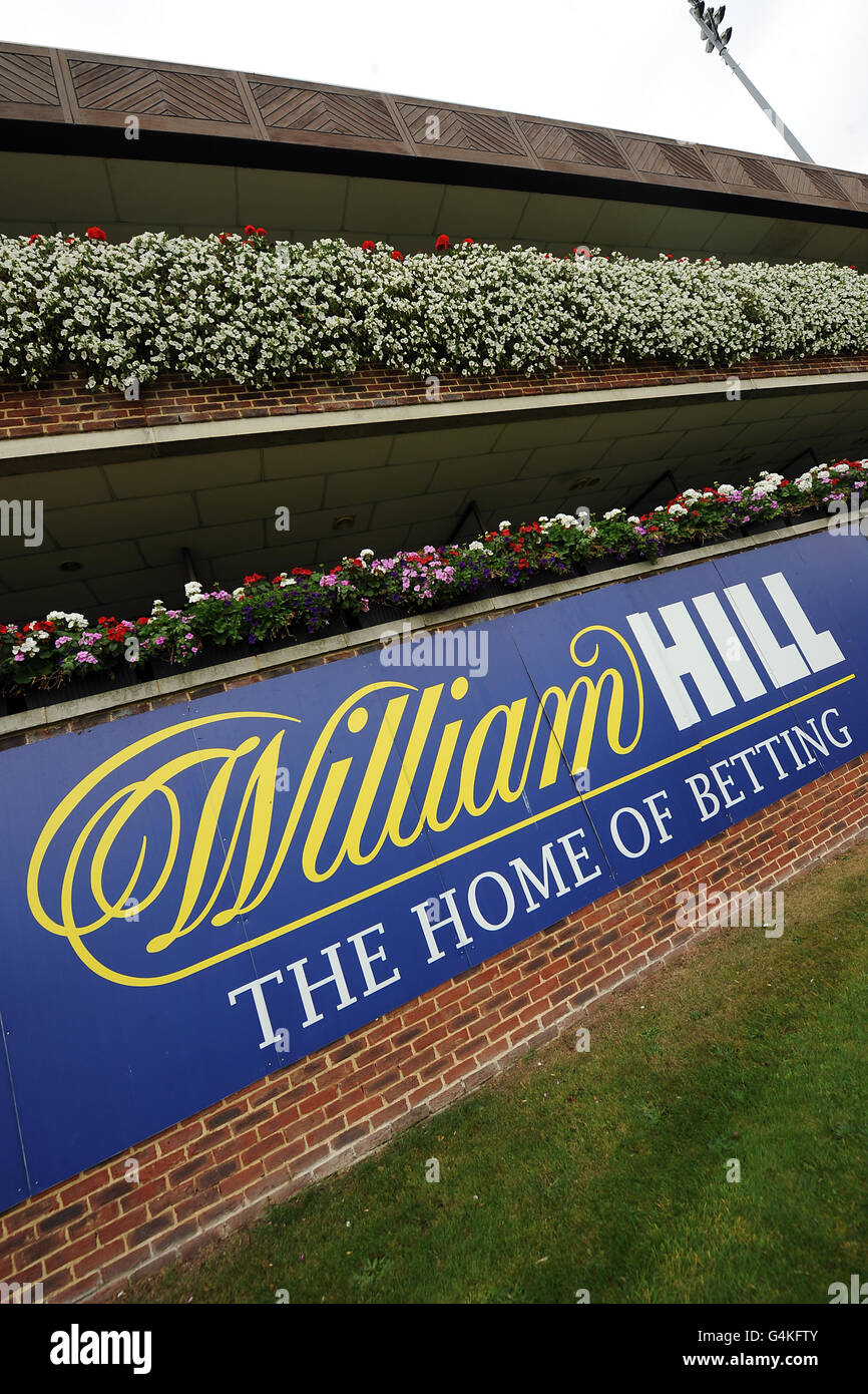 Pferderennen - William Hill Jump Sonntag - Kempton Park. William Hill Beschilderung rund um die Rennbahn Kempton Park Stockfoto