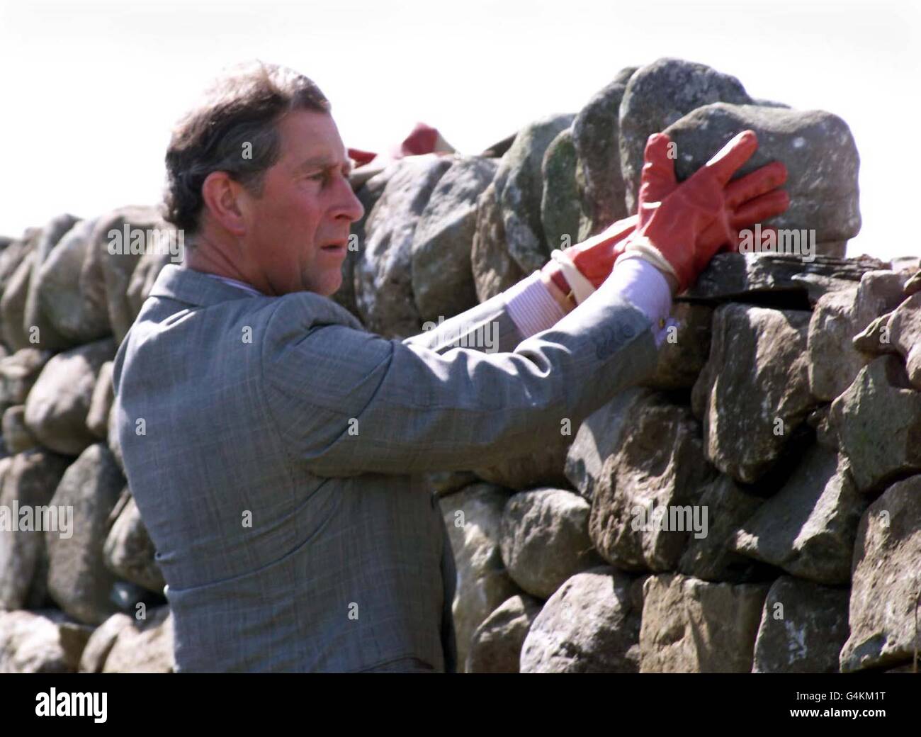 Der Prinz von Wales, Prinz Charles, arbeitet an einer Steinmauer, während seines Besuchs auf der Merthyr Farm in Harlech in Nordwales. Stockfoto