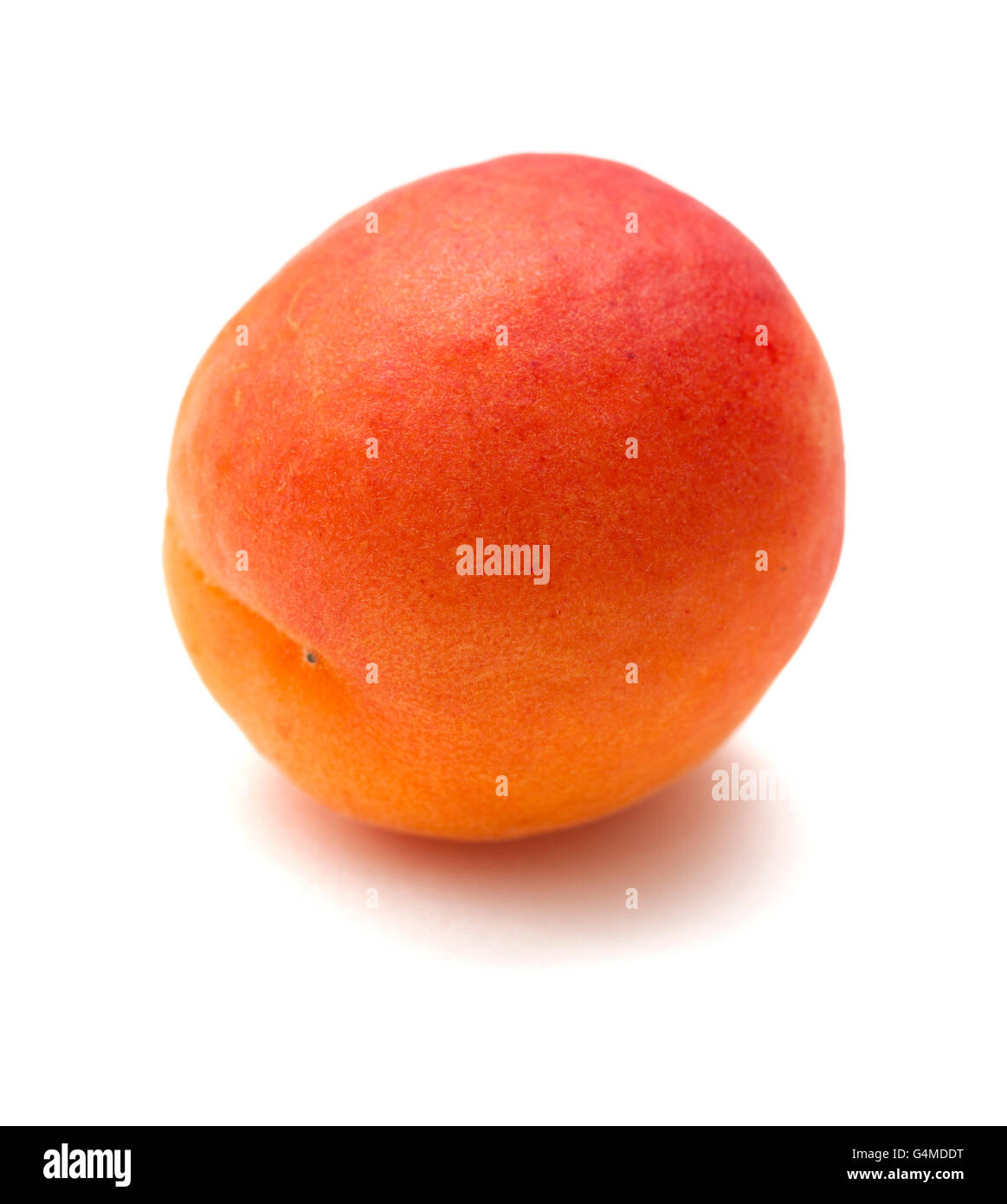 kleine Reifen Aprikosen isoliert auf weißem Hintergrund Stockfoto