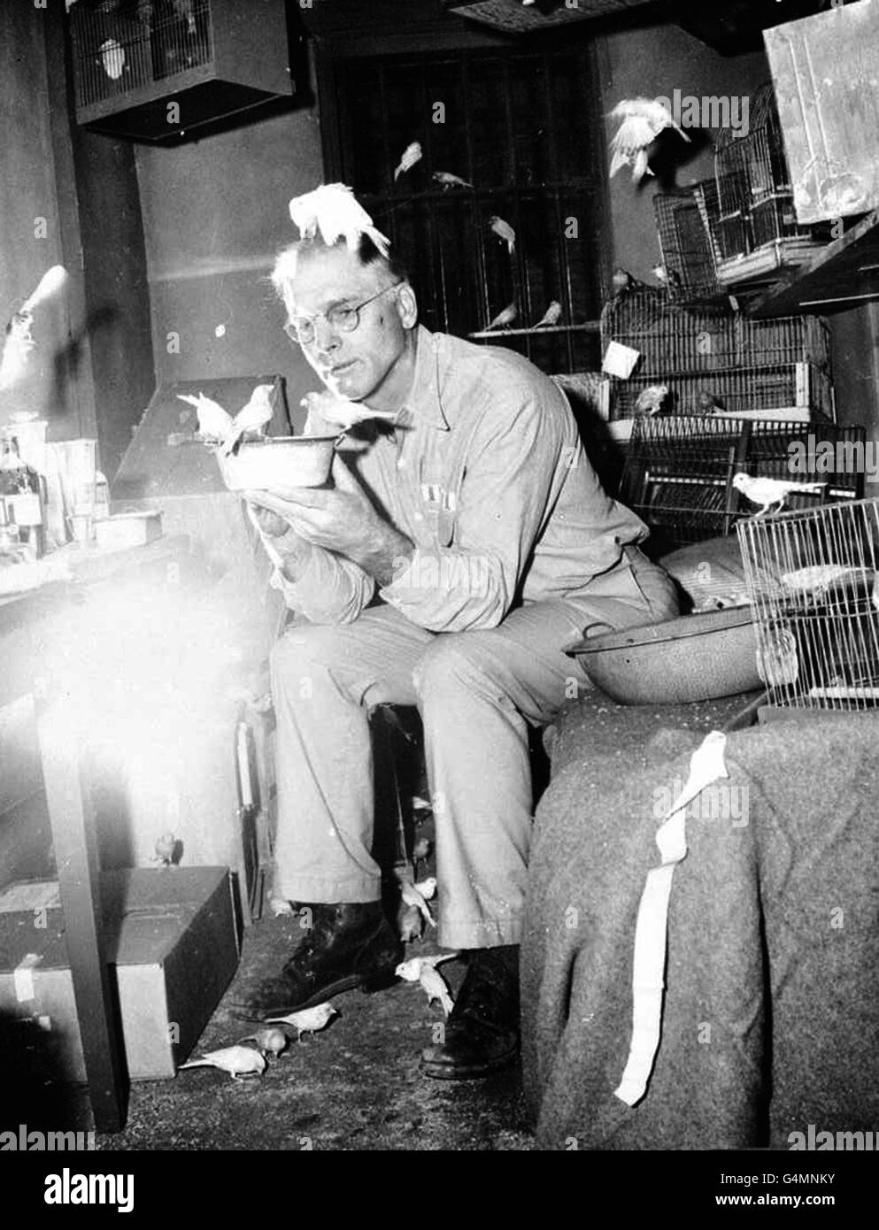 Schauspieler Burt Lancaster als Robert Stround im Film 'Bird man of Alcatraz'. Stockfoto