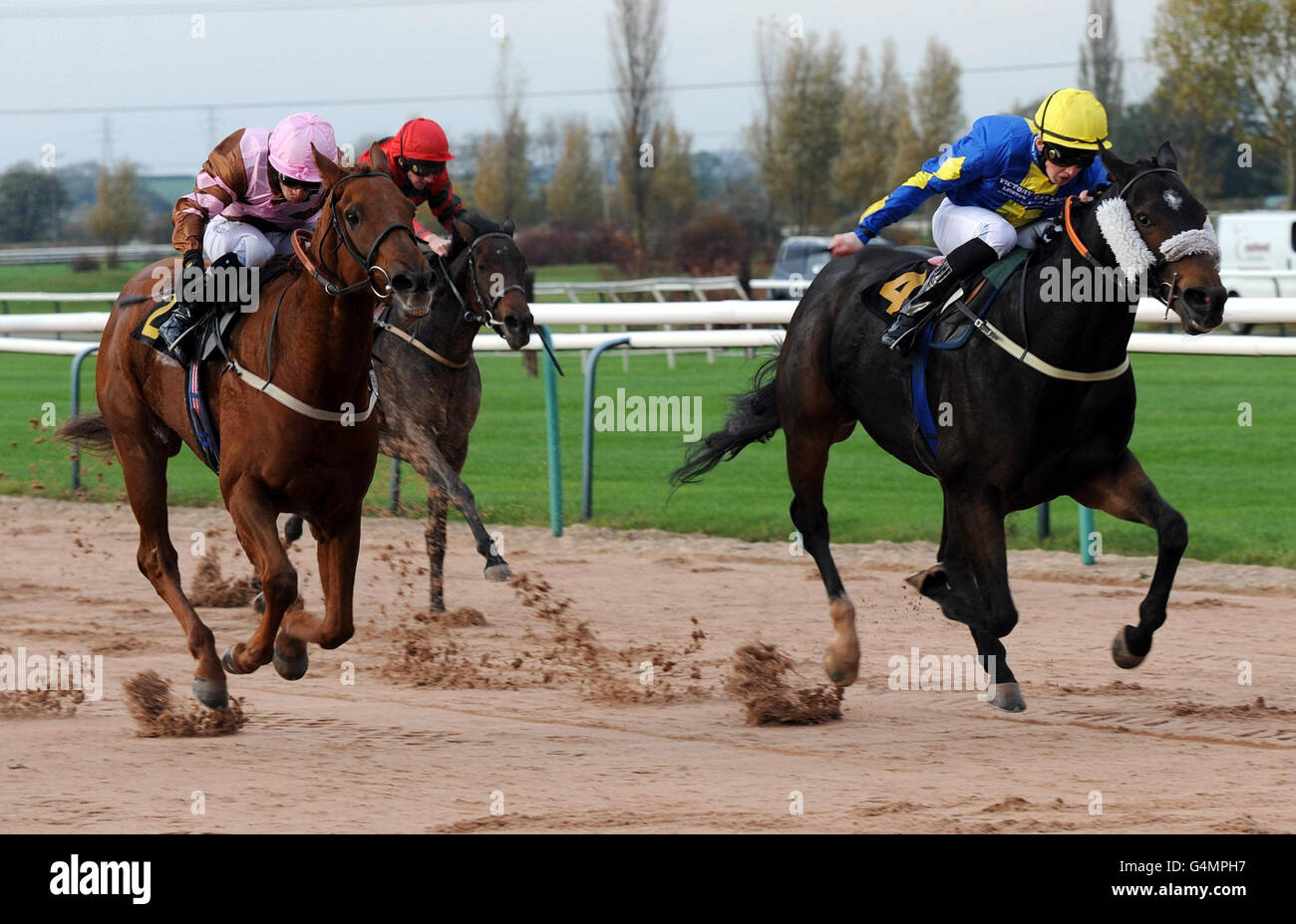 Pferderennen - Southwell Racecourse Stockfoto