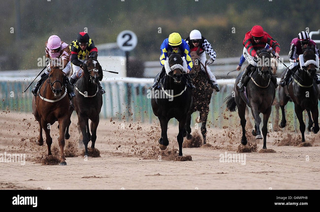 Pferderennen - Southwell Racecourse Stockfoto