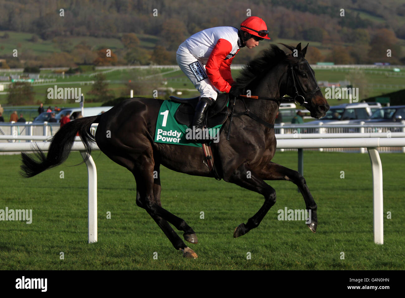 Horse Racing - Open 2011 - Paddy Power Gold Cup Tag - Cheltenham Racecourse Stockfoto