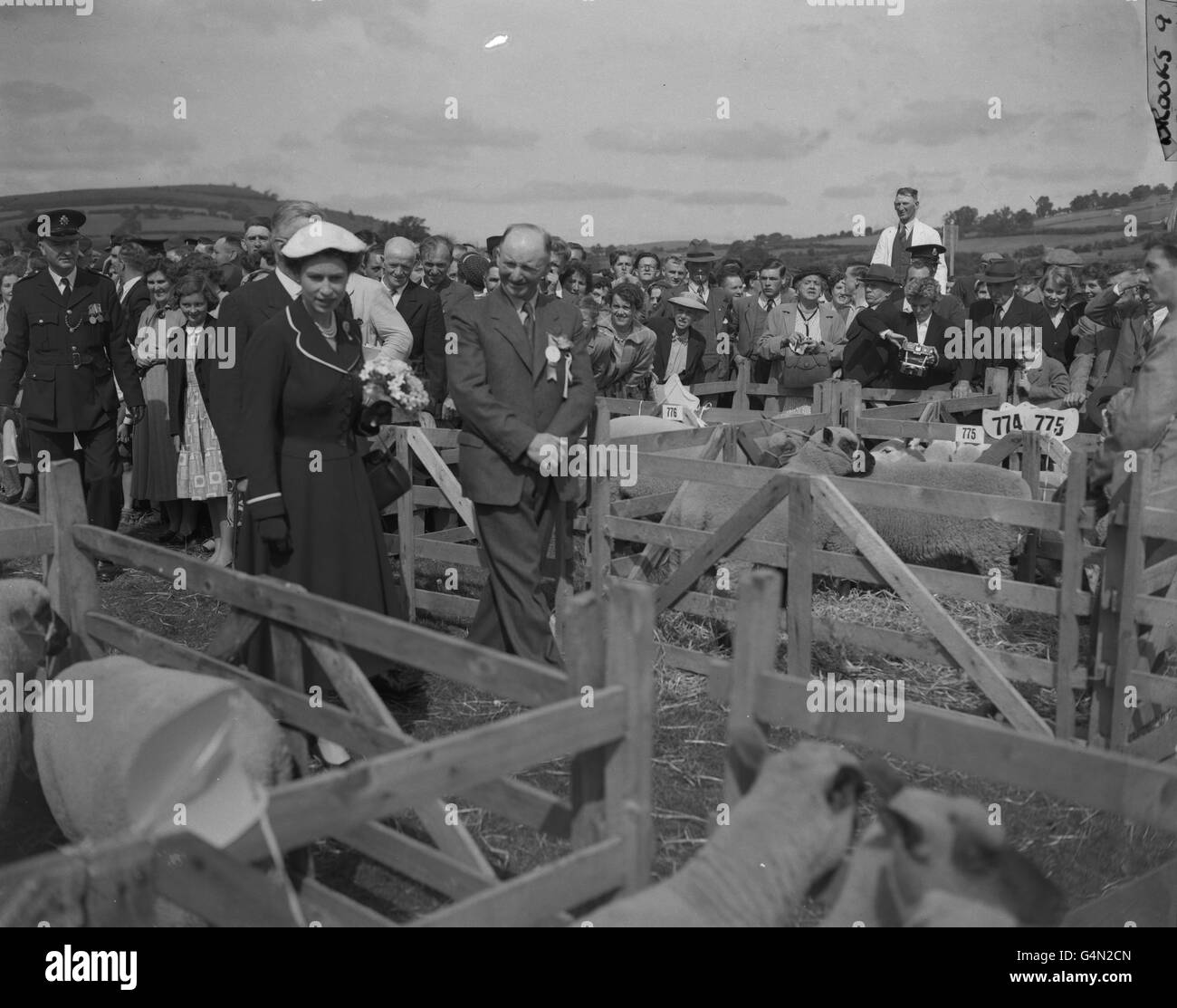 Queen Elizabeth II blickt auf der Agricultural Show, die in Brecon, Wales, für die Bicentenary Show der Brecknockshire Agricultural Society veranstaltet wird, fachmännisch auf Schafe in ihren Stiften. Stockfoto