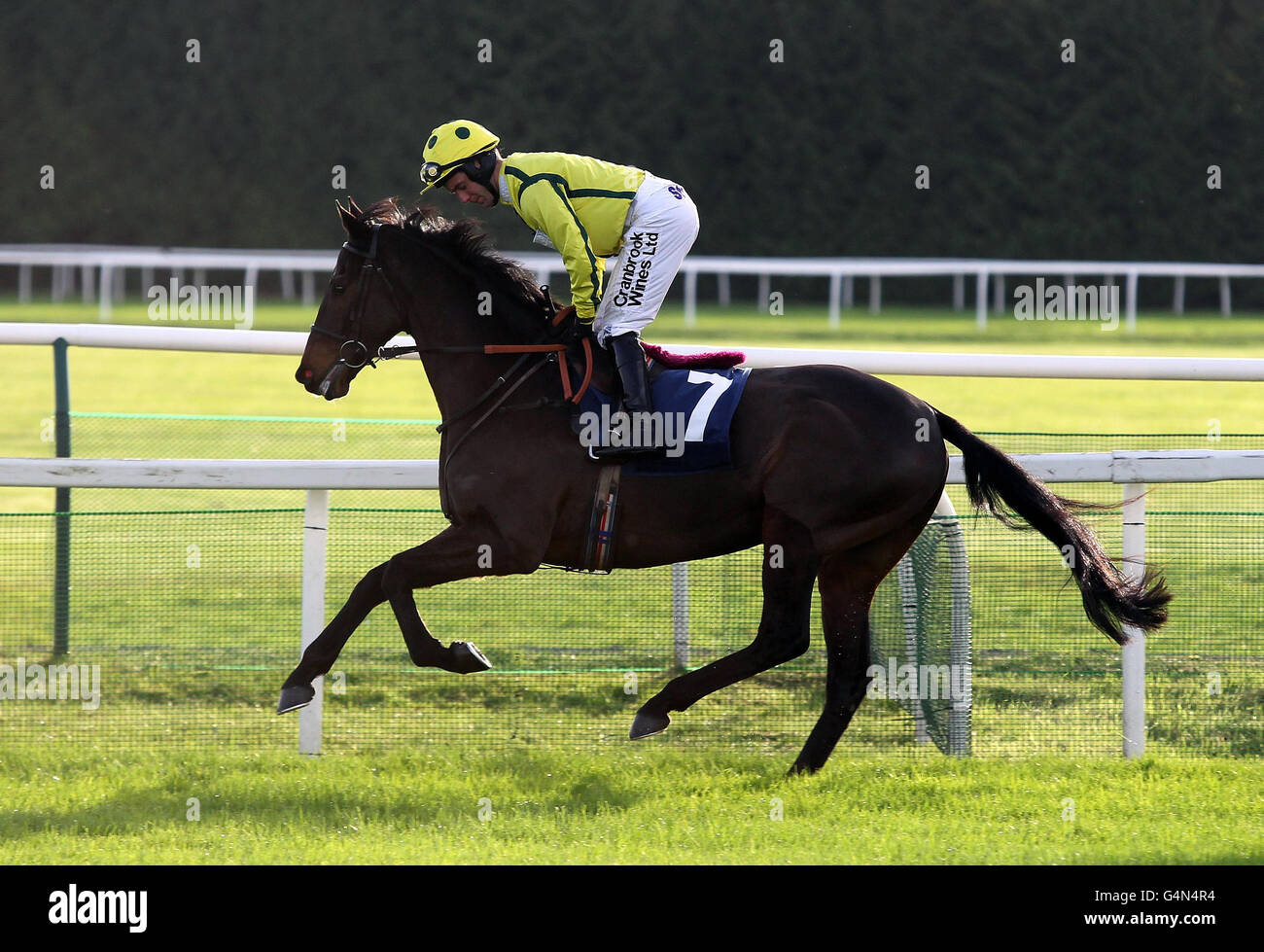 Kingsmere, die von Andrew Tinkler geritten wird, machen sich auf den Weg, beim Handicap Hurdle Race für CSP-Anfänger während des Newbury Day des Sportingbet Winter Festivals auf der Newbury Racecourse, Bekshire, zu posten. Stockfoto