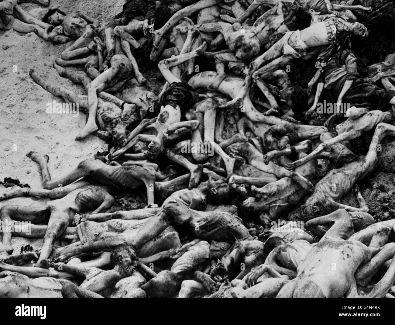 DER HOLOCAUST: Von alliierten Truppen entdeckte Leichen, die gegen Ende des Zweiten Weltkriegs in einem Massengrab im Konzentrationslager Belsen in der Nähe von Hamburg lagen. Bergen-Belsen wurde am 15. April 1945 von britischen Truppen befreit. Stockfoto