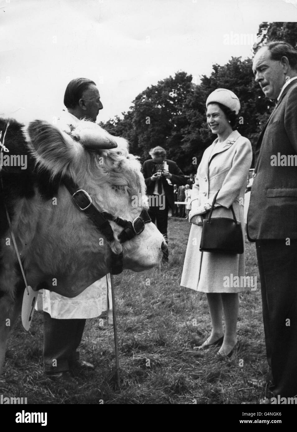 Landwirtschaft - drei Grafschaften zeigen - Malvern, Worcestershire Stockfoto