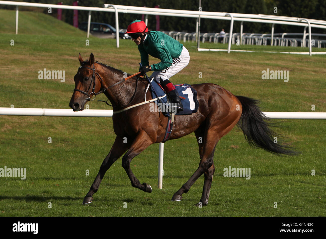 Horse Racing - Ladbrokes St. Leger Festival 2011 - Stobart Doncaster Cup Tag - Doncaster Racecourse Stockfoto