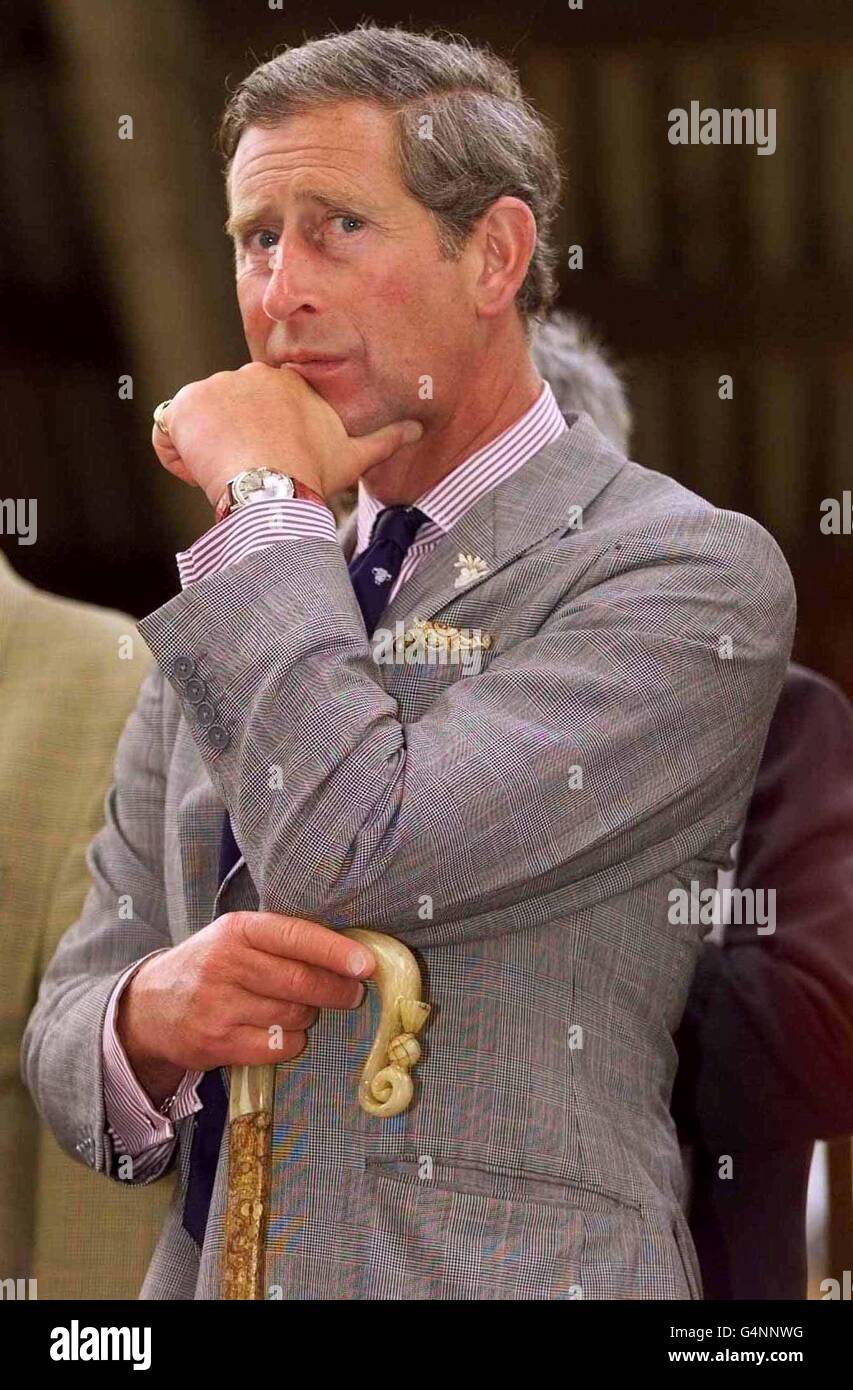 Der Prinz von Wales ruht auf seiner Gasse, während er die Wotton Farm in Farley, Staffordshire, besucht. Der Prinz war mit einer Delegation aus Europa anwesend, um die Verbesserungen bei der BSE-Bekämpfung zu sehen. * ...mit der erwarteten Aufhebung des Verbots von britischem Rindfleisch am 1. August. *25/09/2001...der Prinz war Dienstag, 25. September 2001, Besuch der Landwirtschaft und Tourismus-Industrie schwer von Maul-und-Klauenseuche betroffen. Der Prinz verbrachte einen Tag in Cumbria, wo er mit den Bauern vor Ort sprechen und auch diejenigen im Tourismusgewerbe treffen soll, die seit dem Ausbruch der Krankheit ihre Geschäfte anpassen mussten Stockfoto