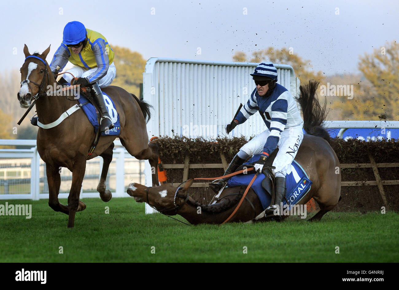 Der von Jason Maguire (links) gerufene Overturn gewinnt das Coral Hurdle Race (Klasse 1), während Oscar Whisky von Barry Geraghty während des Novembertreffens auf der Ascot Racecourse die letzte Hürde nimmt. Stockfoto