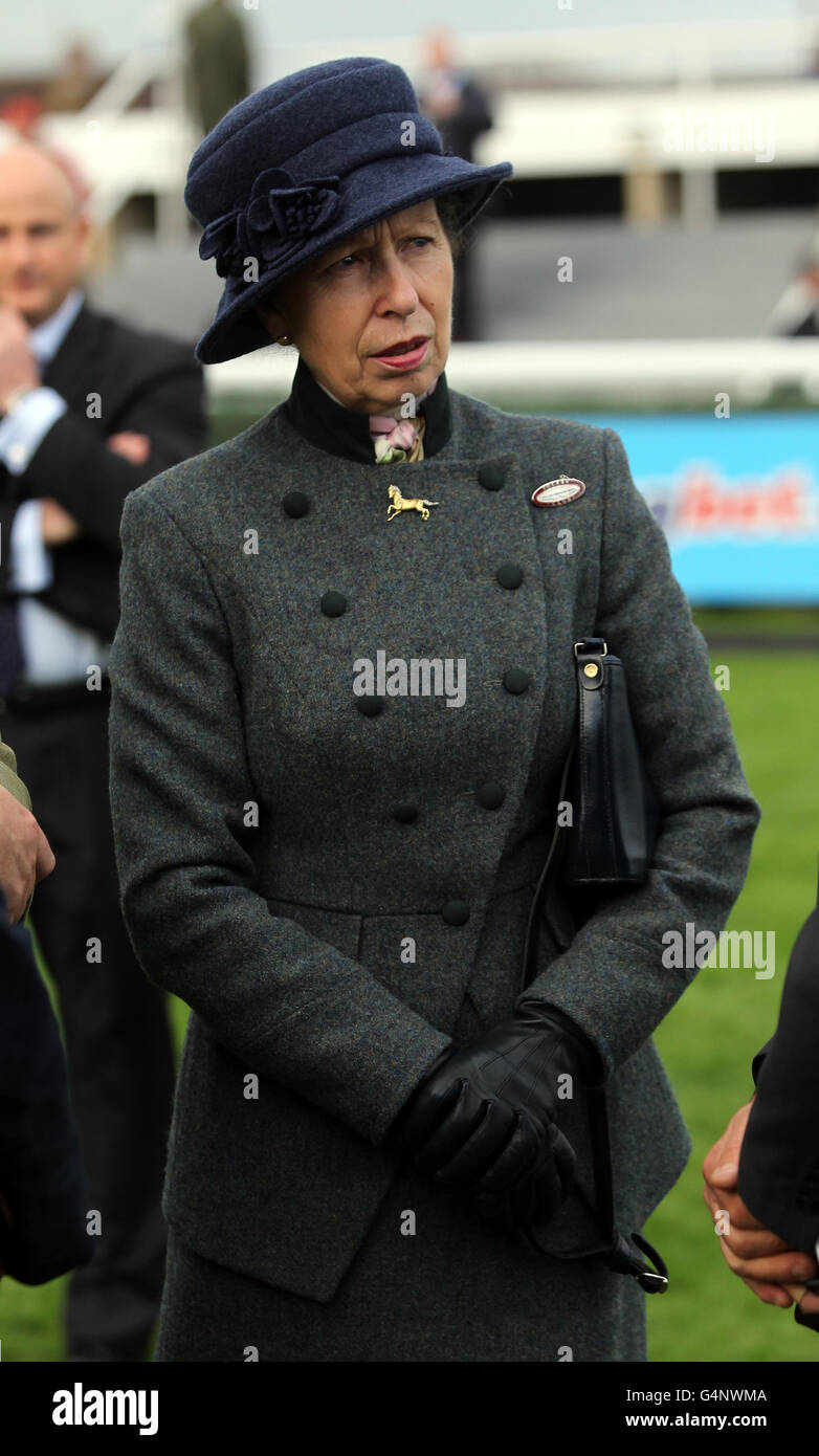 Prinzessin Anne beim Hennessy Gold Cup Day des Sportingbet Winter Festivals auf der Rennbahn Newbury, Newbury. Stockfoto