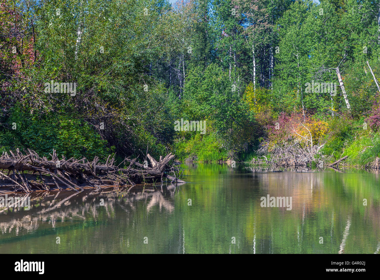 Sibirische Natur Stockfoto