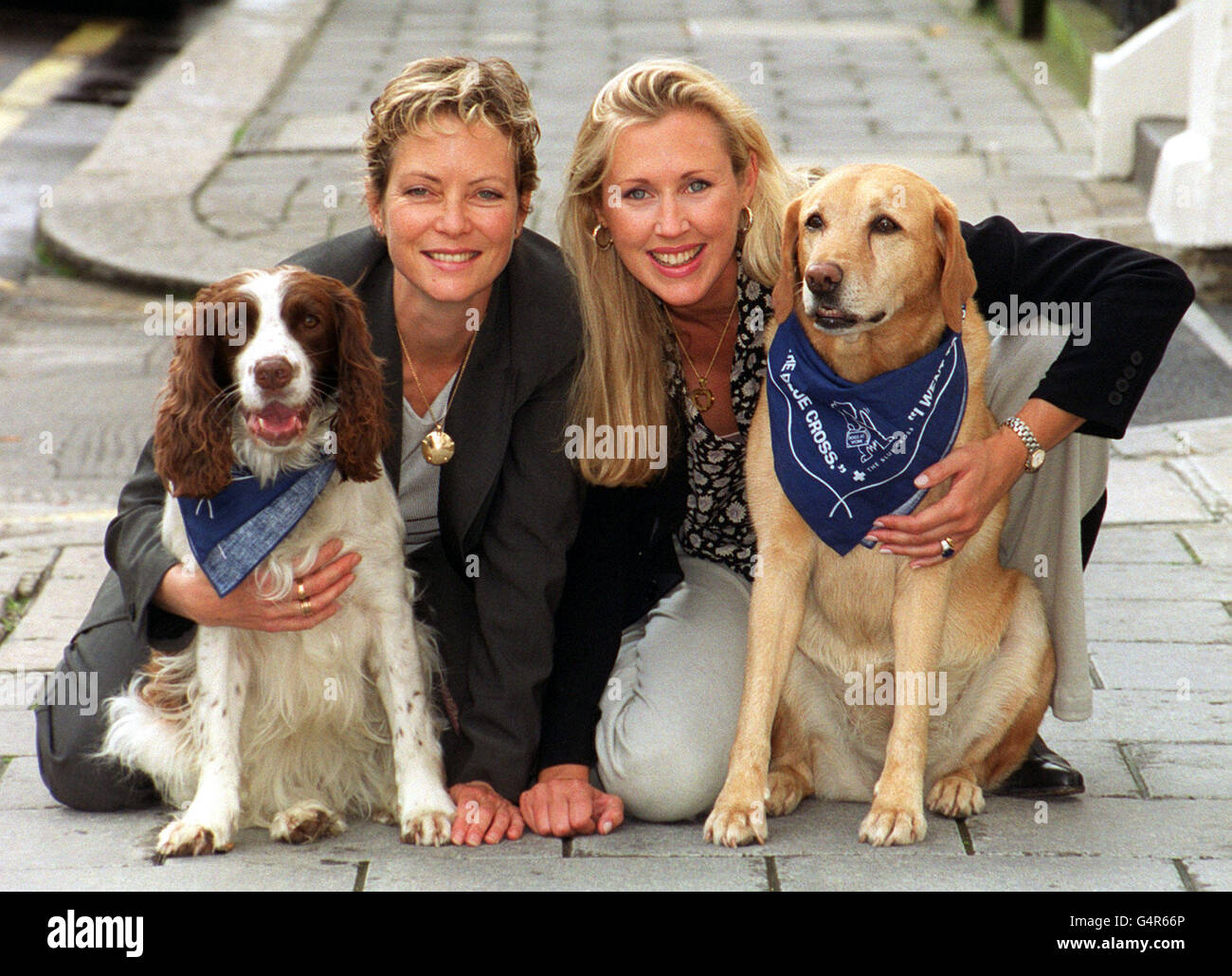 Dog Tag/Seagrove arbeiten Stockfoto