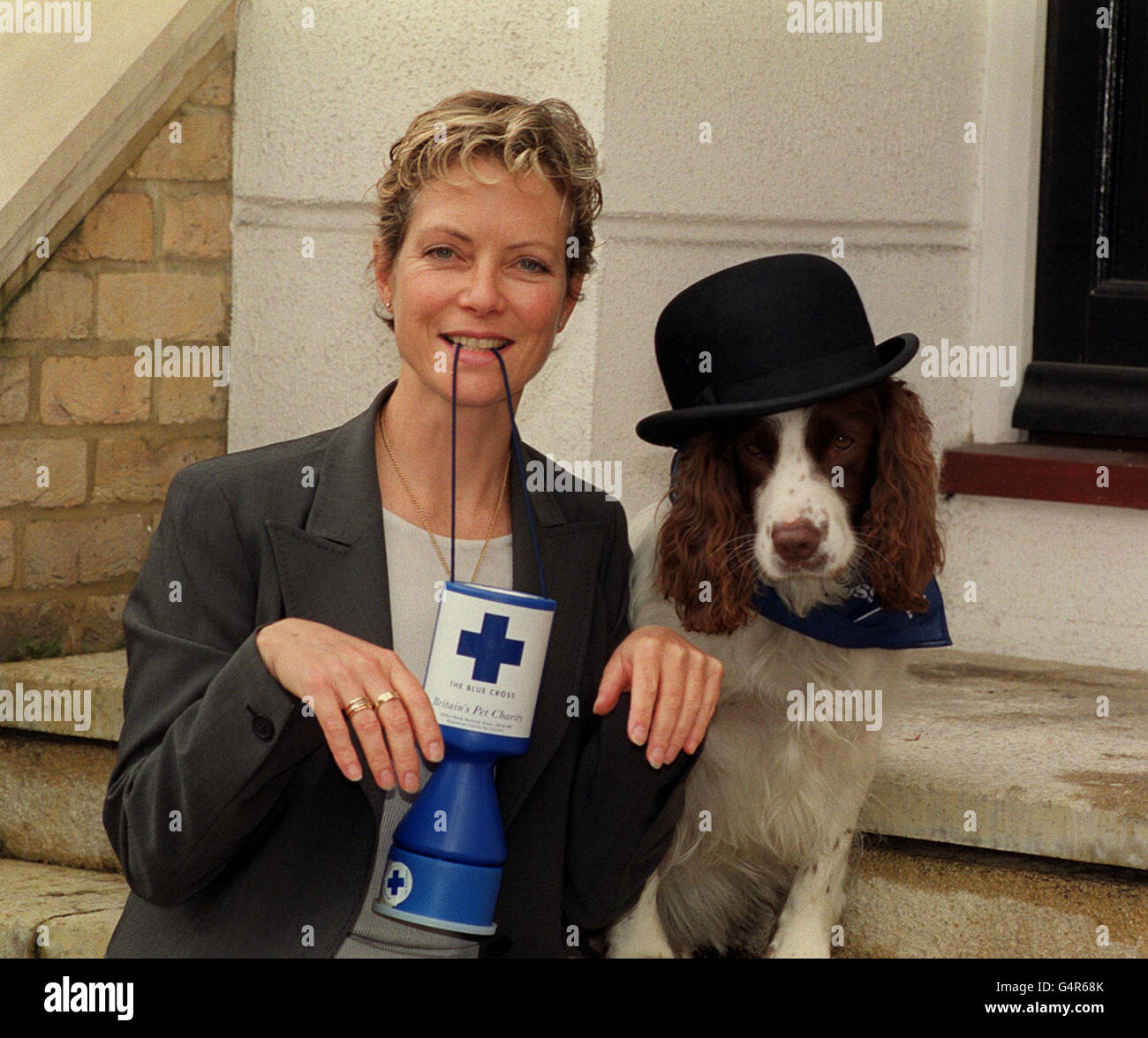 Hunde, Tag/Skepper arbeiten Stockfoto