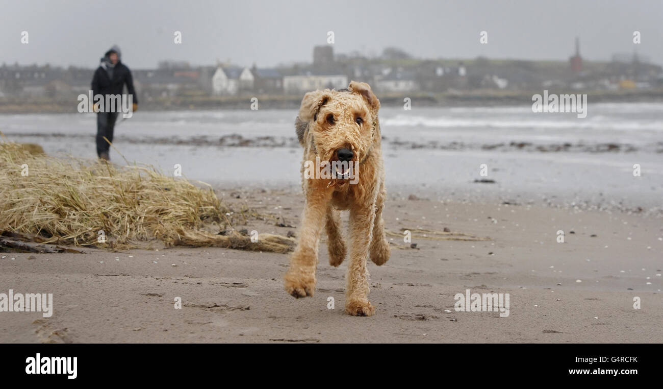 Winterwetter - 28. Dezember Stockfoto