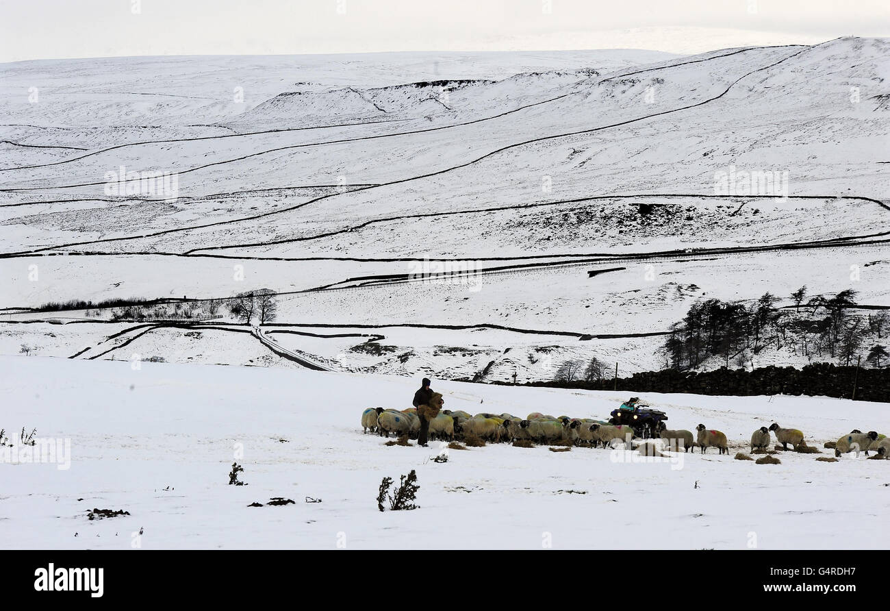 Die Bauern in den Pennines erhalten Futter für ihre Tiere auf dem Schnee in der Nähe von Brough in Cumbria, während die Winterkälte weiterhin beißt. Stockfoto