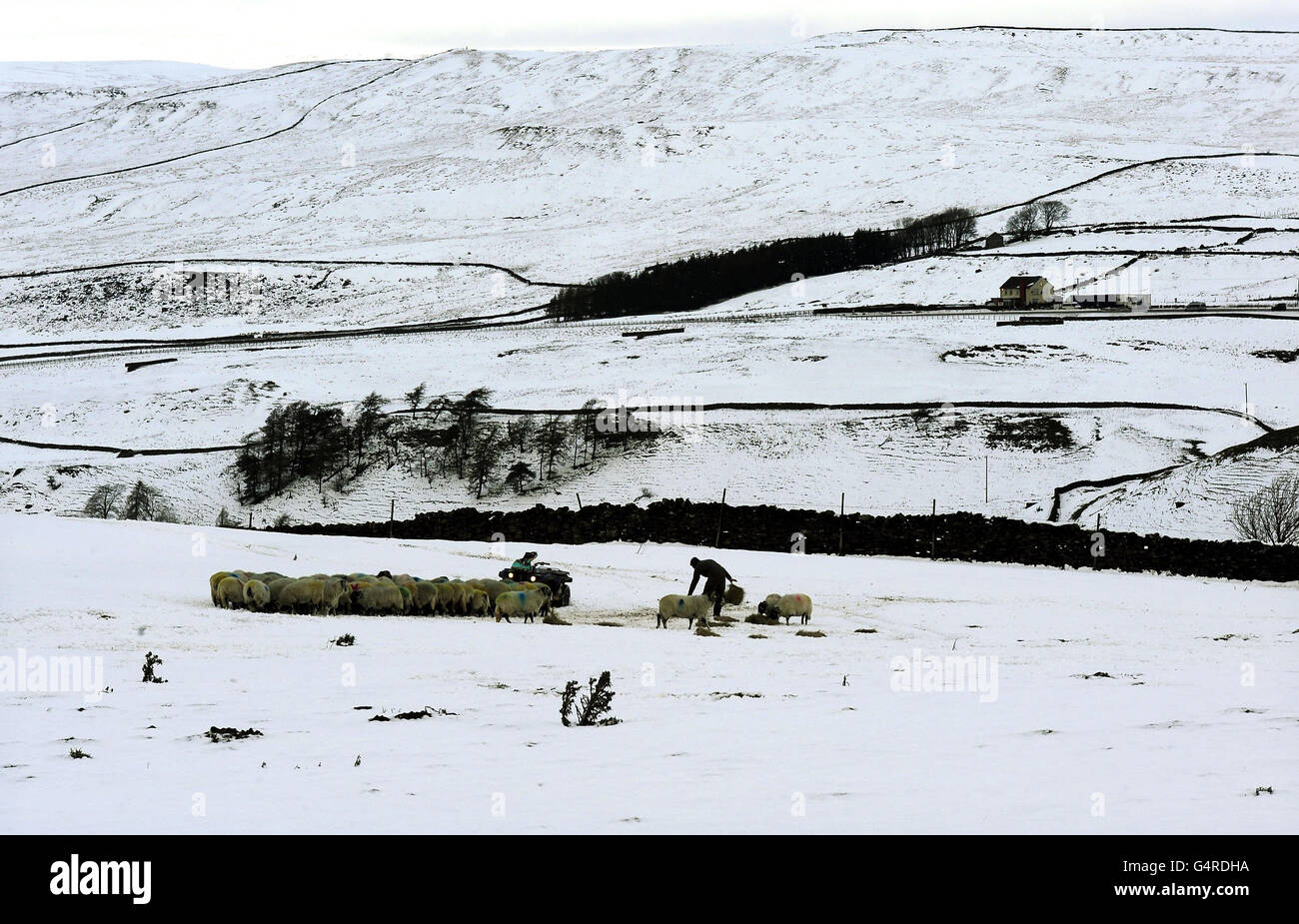 Die Bauern in den Pennines erhalten Futter für ihre Tiere auf dem Schnee in der Nähe von Brough in Cumbria, während die Winterkälte weiterhin beißt. Stockfoto