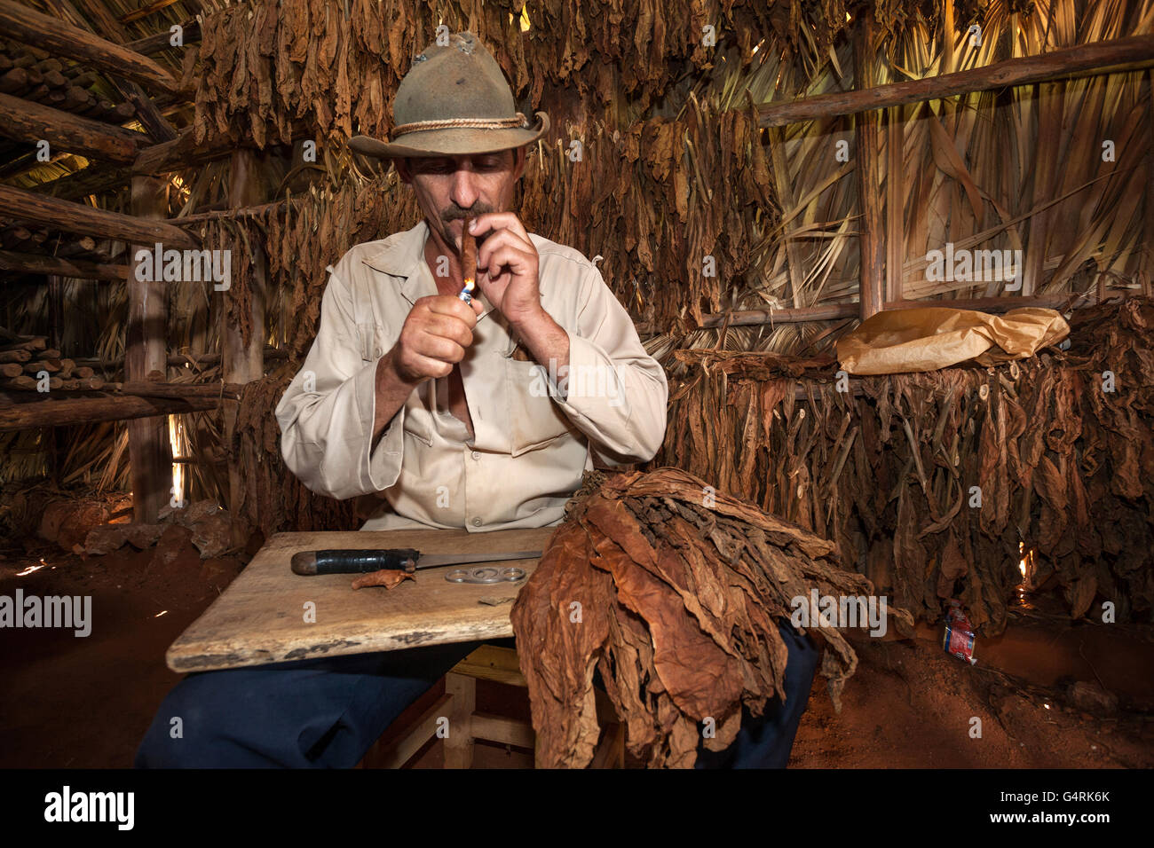 Tabakbauern in einer Tabak-Scheune raucht eine Zigarre einfach gemacht, in der Nähe von Vinales, Vinales Tal, Provinz Pinar Del Rio, Kuba Stockfoto