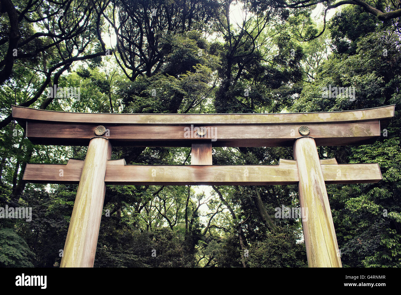 Altes Tor am Meiji-Schrein in Yoyogi Park in Tokio Stockfoto
