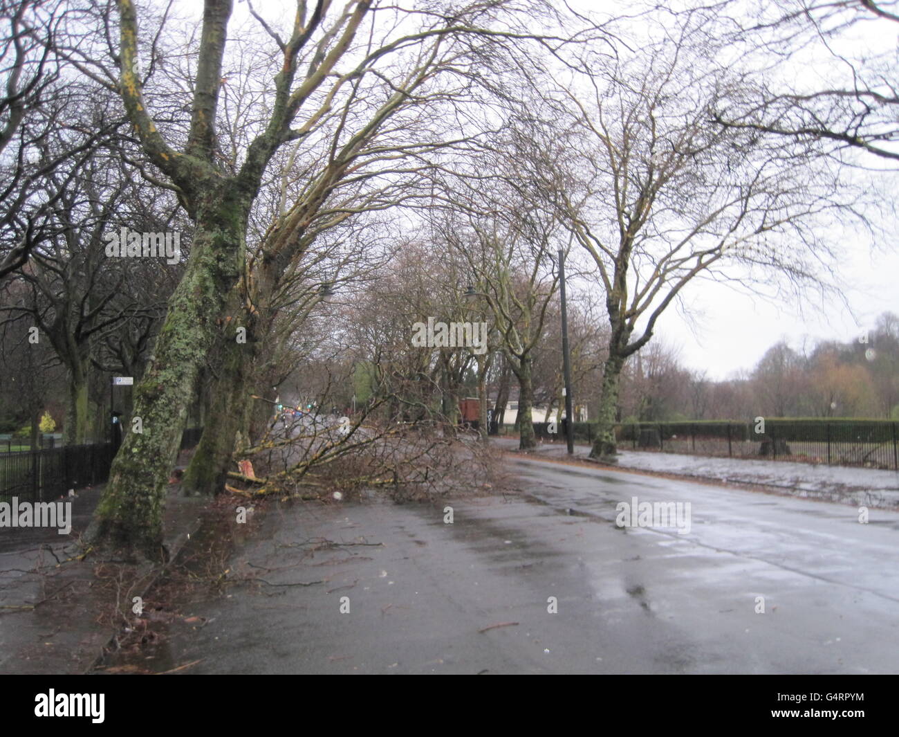 Sturmschäden auf dem Kelvin Way in Glasgow, da Teile Schottlands heute in Alarmbereitschaft versetzt wurden, als Winde mit einer Geschwindigkeit von 100 km/h und starker Regen das Land überfluten, Gebäude zerstörten und das Verkehrsnetz stark störten. Stockfoto