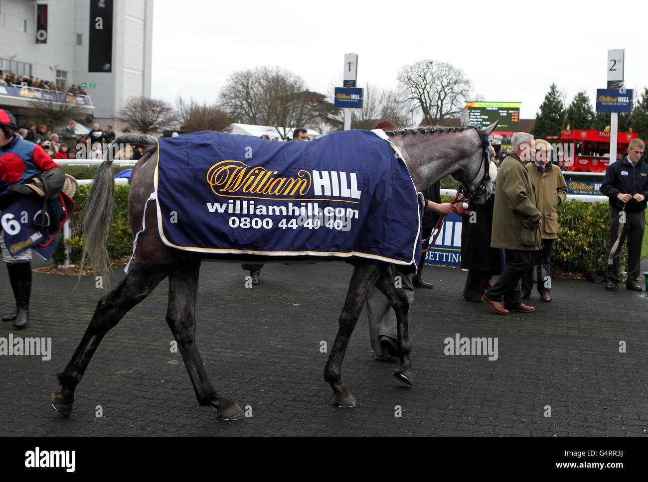 Pferderennen Sie-William Hill Winter Festival 2011 - König George VI Steeple Chase - Kempton Park Stockfoto