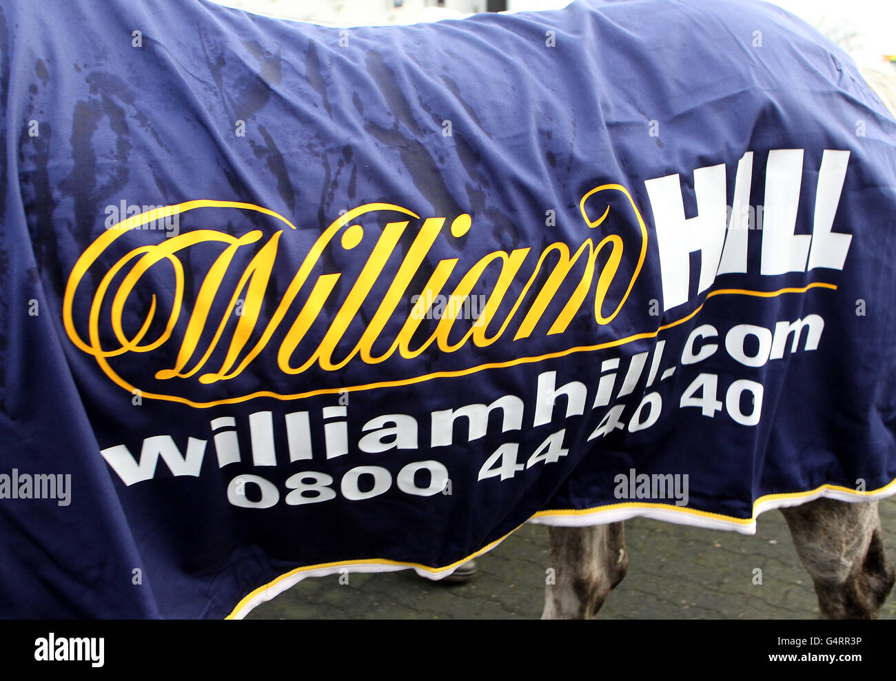 Pferderennen Sie-William Hill Winter Festival 2011 - König George VI Steeple Chase - Kempton Park Stockfoto