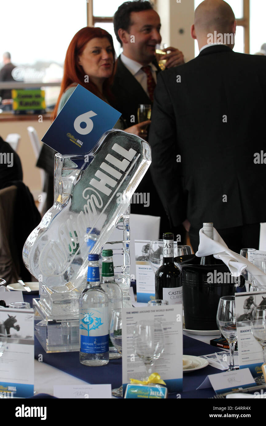 Pferderennen Sie-William Hill Winter Festival 2011 - König George VI Steeple Chase - Kempton Park Stockfoto