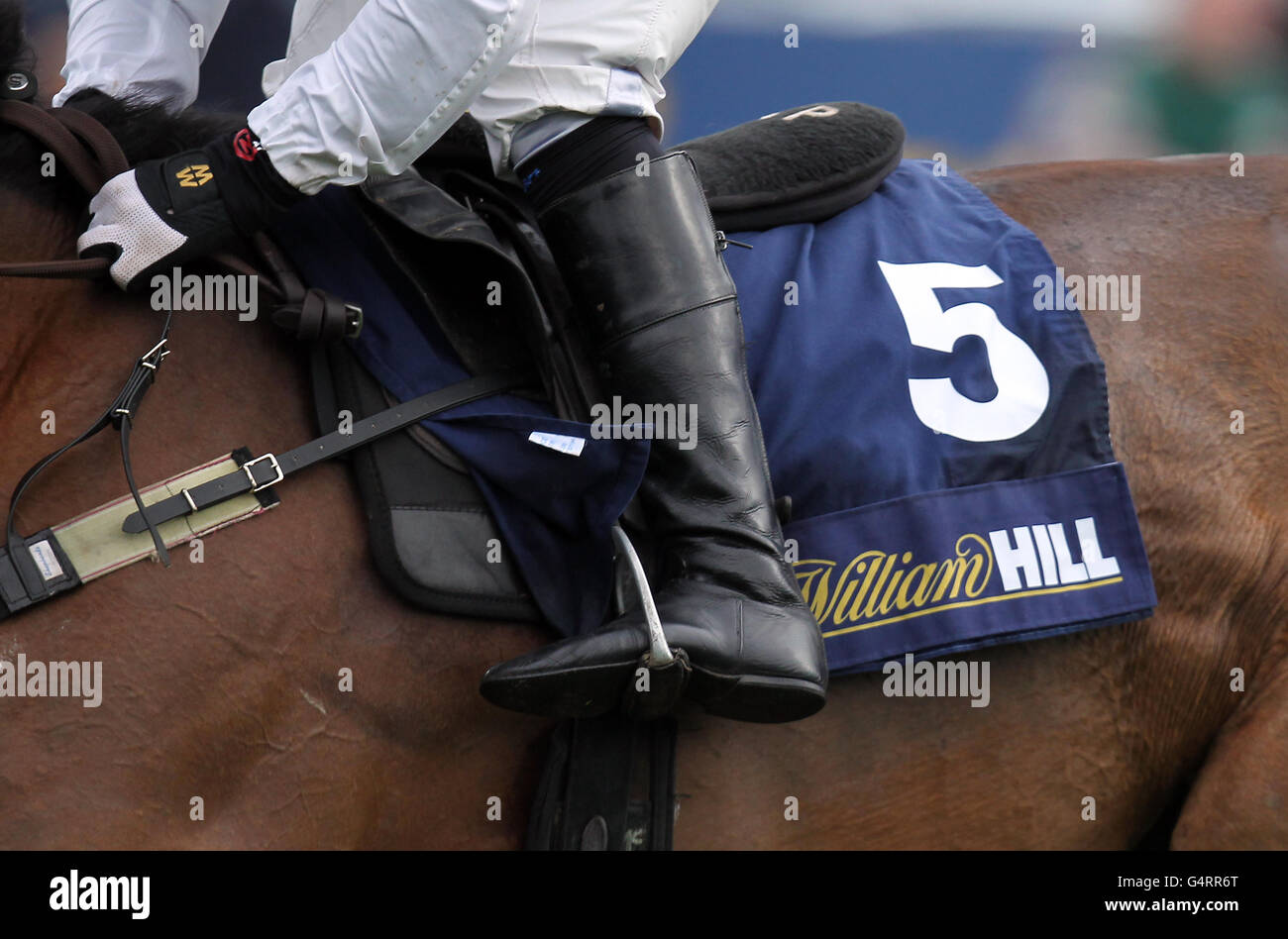 Pferderennen Sie-William Hill Winter Festival 2011 - König George VI Steeple Chase - Kempton Park Stockfoto