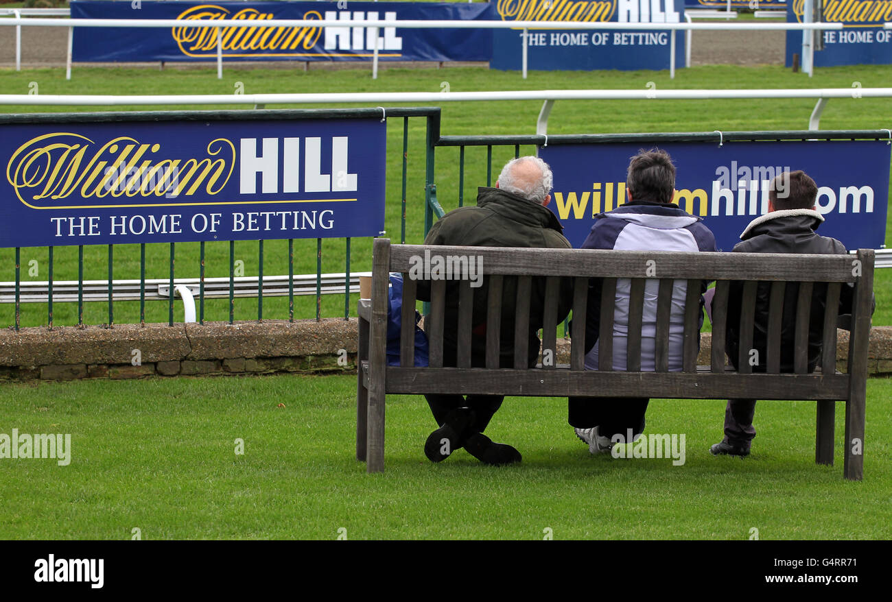 Pferderennen Sie-William Hill Winter Festival 2011 - König George VI Steeple Chase - Kempton Park Stockfoto